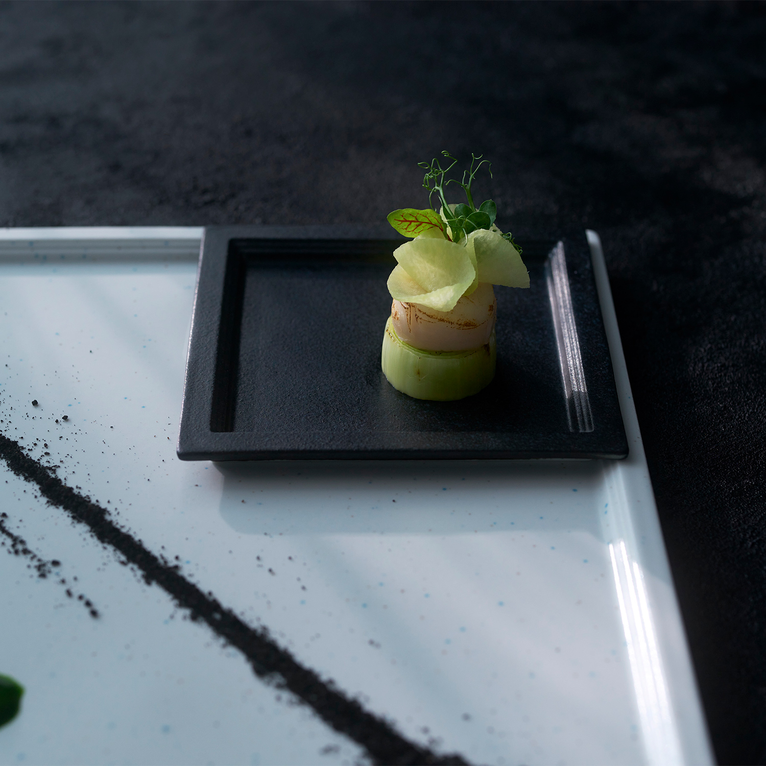 TSUDOI PLATE S SET 詳細画像 SUMI 6